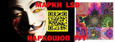 дмт Кандалакша