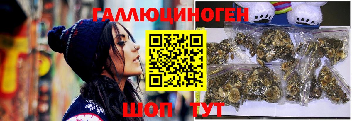 Псилоцибиновые грибы Magic Shrooms  закладки  Лыткарино  Вход с VPN 