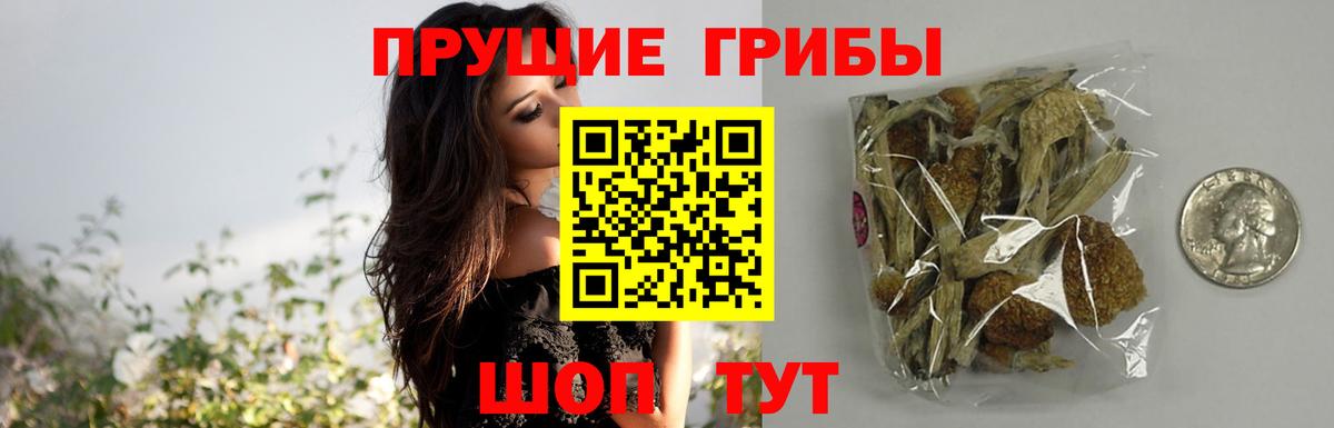 Галлюциногенные грибы GOLDEN TEACHER Лыткарино